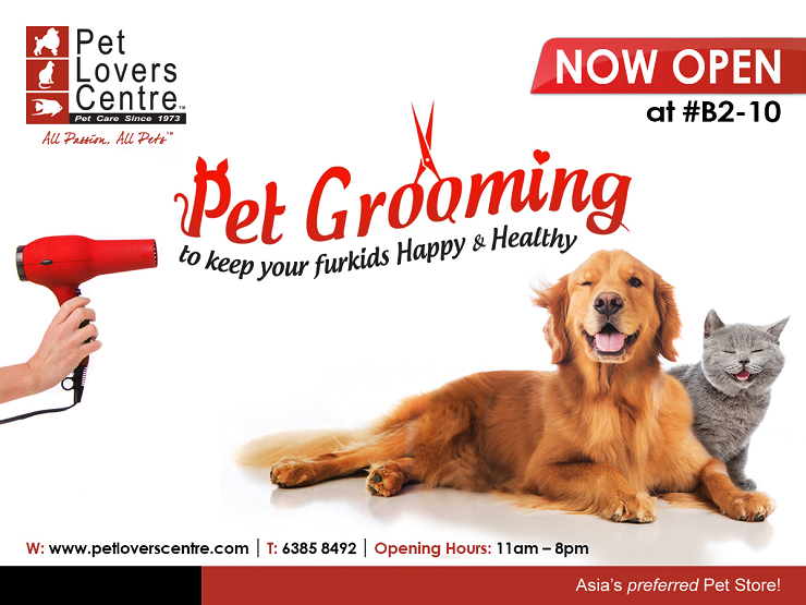 pet grooming open today